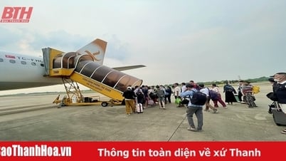 Du lịch Thanh Hóa vươn lên từ những khó khăn