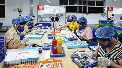 Đồng hành cùng doanh nghiệp, kết nối việc làm cho người lao động