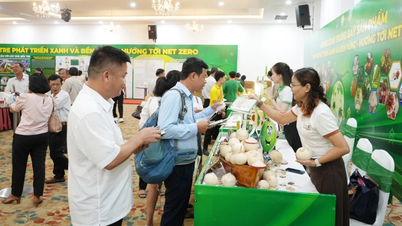 Tăng cường công tác ngoại giao kinh tế