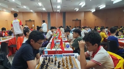 90 kỳ thủ dự Giải Cờ vua quốc tế tỉnh Quảng Ninh lần thứ hai năm 2025
