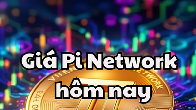 Pi Network Kurs 6.6.2025: Rückgang des Handelsvolumens von 2 Milliarden auf 56 Millionen USD