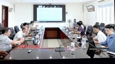 TMP chuyển giao phần mềm quản lý sản xuất - kinh doanh cho Thủy điện Quảng Trị