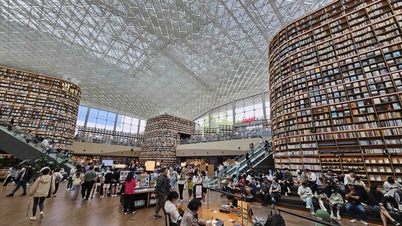Tới Seoul để xem tranh và…đọc sách