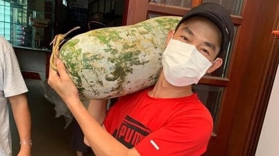 Làm đẹp cho đời