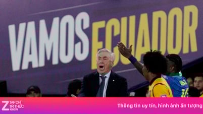 Brasilien fehlt das Feuer, Ancelotti hat Kopfschmerzen