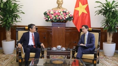 Vietnam und Japan vereinbaren eine engere Zusammenarbeit bei den Vereinten Nationen