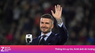 Beckham được phong tước Hiệp sĩ