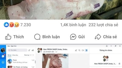"Đừng chờ ai lên tiếng hộ mình"