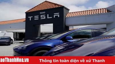 Tesla hứng đòn khi mối quan hệ giữa CEO với Tổng thống Trump rạn nứt