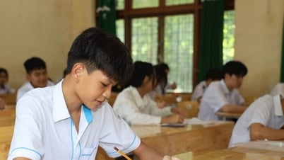 Đề thi môn Toán vào lớp 10 tỉnh Đắk Nông mang tính phân loại cao