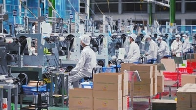 Tháng Năm: Hơn 15 nghìn doanh nghiệp thành lập với mức vốn tăng mạnh