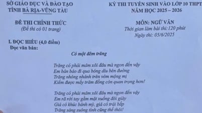 Đề thi môn Ngữ Văn vào lớp 10 tỉnh Bà Rịa - Vũng Tàu năm 2025