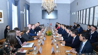 Mở ra một giai đoạn phát triển mới của quan hệ hợp tác truyền thống Việt Nam-Estonia