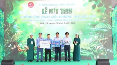 力を合わせればプラスチック汚染との戦いに勝利できる