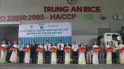 Xuất khẩu lô 'Gạo Việt xanh phát thải thấp' đầu tiên sang Nhật Bản