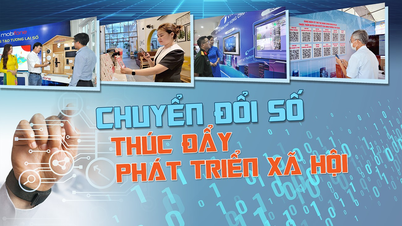 Hội nghị trực tuyến hướng dẫn, chia sẻ, thảo luận về công tác chuyển đổi số