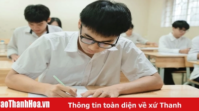Trường đại học đột ngột bỏ khối C: Bộ GD&ĐT đề nghị điều chỉnh, đảm bảo quyền lợi thí sinh