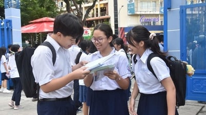 Prüfung der 10. Klasse in Ho-Chi-Minh-Stadt: Siehe Fragen und Antworten zur Englischprüfung
