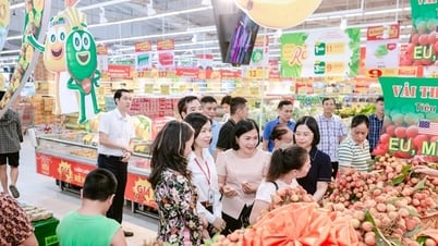 Khai trương, mở bán sản phẩm vải thiều Thanh Hà tại Hệ thống siêu thị GO!