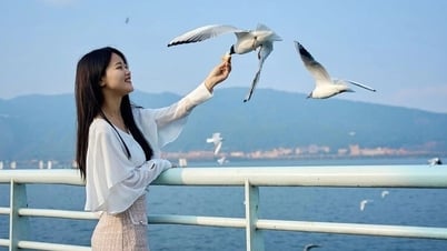 Des milliers de poissons sautent à la surface de l'eau et provoquent des remous : que disent les experts ?