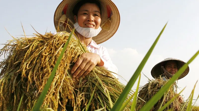 Vốn điều lệ Quỹ Hỗ trợ nông dân Trung ương giai đoạn 2026-2030 là 2.000 tỷ đồng
