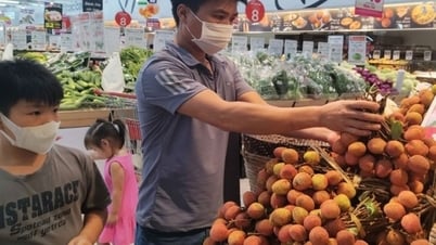 Giá thuê nhà, ăn uống ngoài gia đình kéo CPI tháng 5/2025