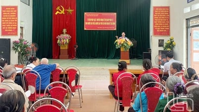 Trợ giúp pháp lý và tư vấn pháp luật cho người cao tuổi