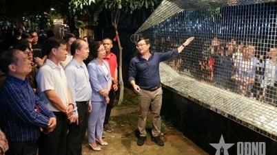 Sớm chuyên nghiệp hóa nghề giám tuyển nghệ thuật