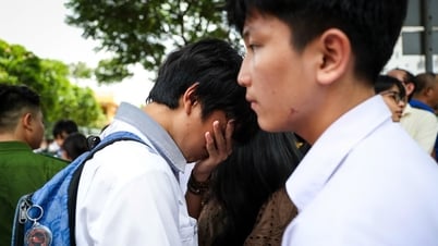 Thi lớp 10 TP.HCM: Đề ngữ văn hỏi 'biết đọc', thí sinh chỉ mong điểm 6, 7
