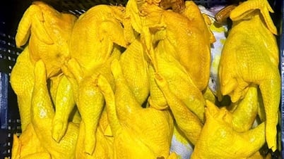 Đồng Nai phát hiện 1,2 tấn thịt gà không rõ nguồn gốc