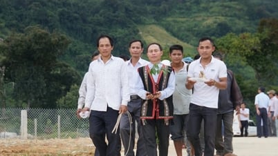 Từ 1-3/8, diễn ra Lễ hội quốc tế sâm Ngọc Linh và dược liệu tại Quảng Nam