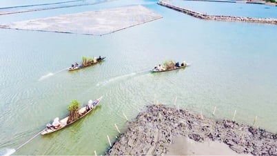 Nâng cấp các tuyến đê phục vụ sản xuất