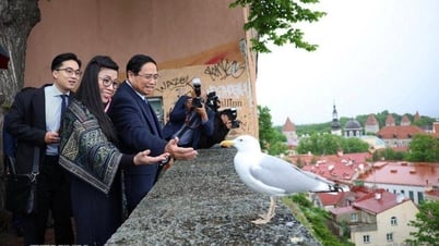 นายกรัฐมนตรี Pham Minh Chinh และภริยาเยี่ยมชมเมืองเก่าทาลลินน์ในเอสโตเนีย