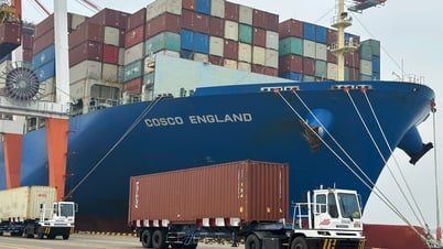 Doanh nghiệp cảng biển mở rộng hợp tác quốc tế