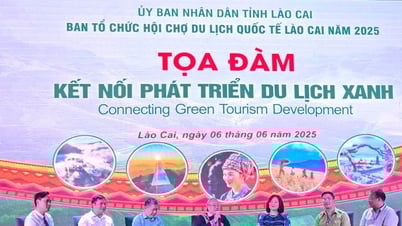 Lào Cai: Tăng cường kết nối, phát triển Du lịch Xanh bền vững