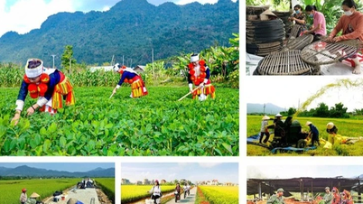 Lập Ban Chỉ đạo Trung ương các chương trình mục tiêu quốc gia giai đoạn 2021-2025