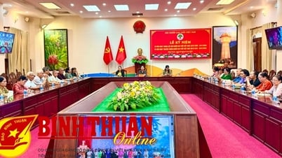 Hội nghị trực tuyến Lễ kỷ niệm 30 năm Ngày thành lập Hội Người cao tuổi Việt Nam