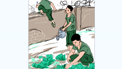 Discipline story: Knowing it's wrong, why... let it be?