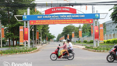 Nông dân đóng góp xây dựng nông thôn mới