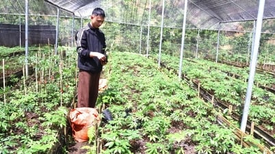 Improve the quality of labor resources
