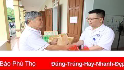 អ្នកកាន់តែចាស់ អ្នកកាន់តែឆ្លាត។