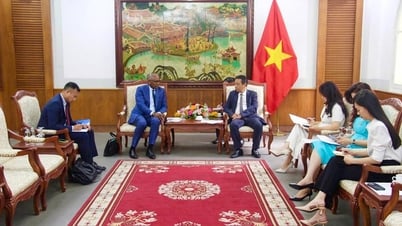 Thứ trưởng Hoàng Đạo Cương tiếp ứng cử viên Tổng Giám đốc UNESCO Firmin Edouard Matoko