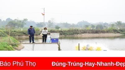 Thi đua phát triển kinh tế, giảm nghèo bền vững