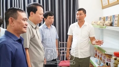 ផលិតផលបសុសត្វចំនួន 6 ដែលត្រូវបានទទួលស្គាល់ថាជា OCOP