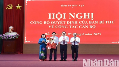 Đồng chí Đinh Quang Tuyên làm Phó Bí thư Tỉnh ủy Bắc Kạn