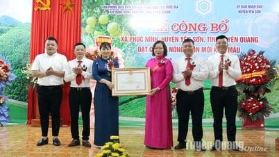 La commune de Phuc Ninh répond aux nouvelles normes rurales