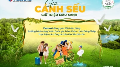 Vietravel công bố chiến dịch CSR “Giữ cánh sếu – Giữ triệu màu xanh”