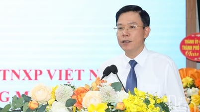 Chăm lo, phát huy vai trò của cựu thanh niên xung phong trong tình hình mới