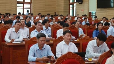 Après cet arrangement, la nouvelle province de Gia Lai comptera 62 membres au sein du Comité exécutif provincial du Parti.