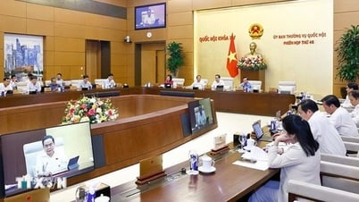 사업 자율성 강화 및 국가 경영 역할 강화
